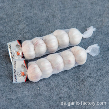 NUEVO Fresh Jin xiang 5p Garlic